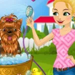 A kutyák és macskák Adventure - játék online játékok (online) A kutyák és macskák Adventure - játék online játékok
