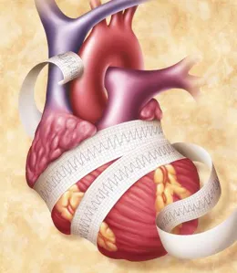 Bradycardia - kezelése népi jogorvoslati otthon és az elsősegély (otthon) Bradycardia - kezelése népi jogorvoslati otthon és elsősegély