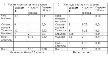 Mi a takarmány egy kecske és etetőszék takarmány