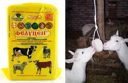 Mi a takarmány egy kecske és etetőszék takarmány