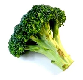 állapot