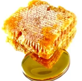 dikciós