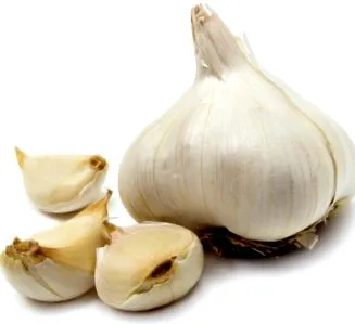 állapot