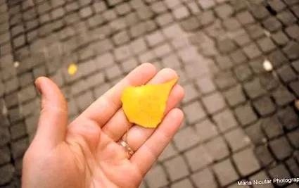 товар