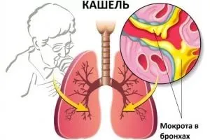 A kimeneti köpet tüdőből