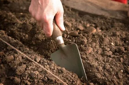 Hogyan megtermékenyítő az íj volt egy nagy (nagy) Hogyan megtermékenyítő az íj volt az egyik fő