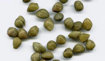 Mik szardellát és kapribogyóval - mindent tudnak! (Anchovy) Mik szardellát és kapribogyóval - mindent tudnak!