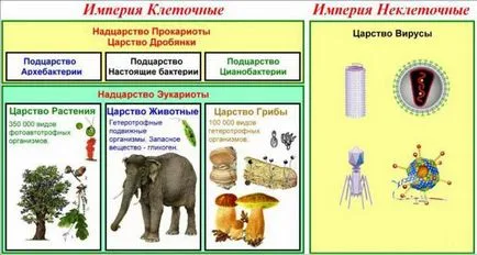Milyen természetű a természeti rendszer (biológia) (természetes) Mi a természetes rendszer a természet (biológia)