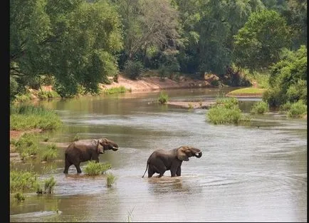 Mi a Limpopo