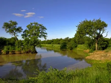 Mi a Limpopo