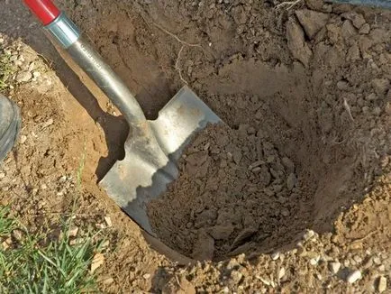 Mit jelent egy álom ásni álom könyv értelmezi (szárazföldi) Mit jelent egy álom ásni álom könyv értelmezi