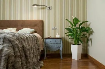 Virágok a belső a lakás (fotó, tanácsok) (apartman) Virágok a belső a lakás (fotó, tanácsok)
