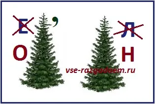 Gyermek rejtvények az állatokról