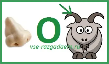 Gyermek rejtvények az állatokról