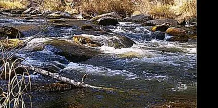 Dima Bilan - így akartam