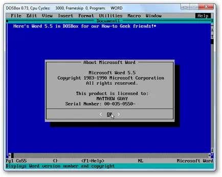 D-Fend Reloaded dos futtatni kedvenc játékok Windows 7, XP és Vista