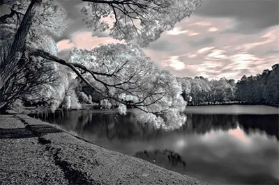 Mik szűrők objektívek