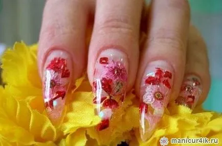Nail kialakítás szárított virágok - szokatlan és topikális (szárított virágok) Nail design szárított virágok - szokatlan és fontos