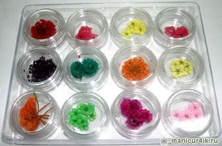 Nail design szárított virágok - szokatlan és fontos (Step by Step Nail Design) Nail design szárított virágok - szokatlan és fontos