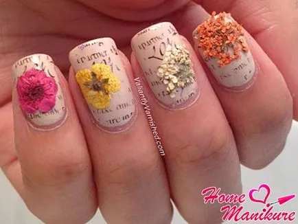 Nail design szárított virágok kép és video tutorials (köröm) Nails tervezés szárított virágok kép és videó oktatóanyagok