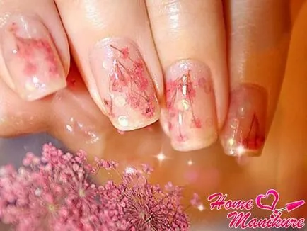 Nail design szárított virágok kép és video tutorials (fotó) Nails tervezés szárított virágok kép és videó oktatóanyagok