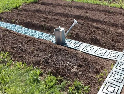 Paths két ágy között az ország saját kezűleg fotó