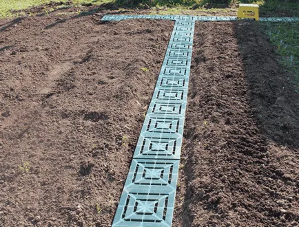 Paths két ágy között az ország saját kezűleg fotó