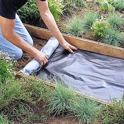 Paths két ágy között az ország saját kezűleg fotó