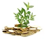 fogyasztási alap