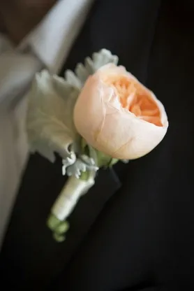 Florists részletesen bazsarózsák esküvő (bazsarózsák elég gyorsan) Florists részletesen bazsarózsa esküvői