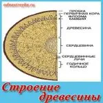 fa gyalu