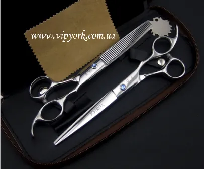 Fényképek frizurával pomerániai és Yorkshire terrier, ápolás - ápolás (haircut) Fényképek frizurával pomerániai és Yorkshire terrier, ápolás - ápolás