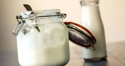 kefir
