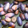 Granadilla - hogyan kell enni - hasznos tulajdonságok és ellenjavallatok (tulajdonságok) Granadilla - hogyan kell enni - hasznos tulajdonság és ellenjavallatok