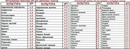 Hydroponics otthon saját kezűleg