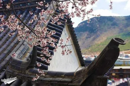 Város Shangri-La China - benyomások és képek