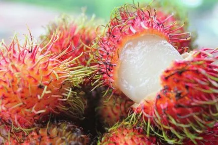 Granadilla - hogyan kell enni - hasznos tulajdonságok és ellenjavallatok (Granadilla) Granadilla - hogyan kell enni - hasznos tulajdonság és ellenjavallatok