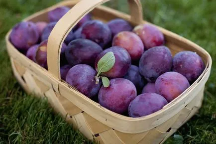 Granadilla - hogyan kell enni - hasznos tulajdonságok és ellenjavallatok (hasznos) Granadilla - hogyan kell enni - hasznos tulajdonság és ellenjavallatok