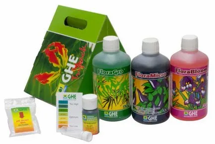 Hydroponics otthon saját kezűleg
