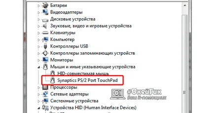 Arról, hogy hogyan tiltsa le a touchpad egy laptop asus, HP, Lenovo és más ablakokra