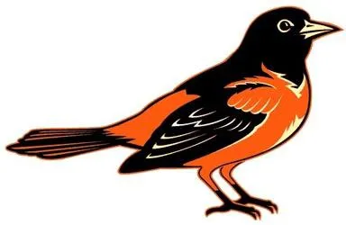 Sárgarigó - egy madár nemcsak énekel, hanem okos és szép!