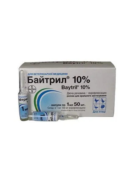 Mi legyen a csirke alom otthon tartalommal (belföldi) Mi legyen az alom a csirkék otthon tartalom