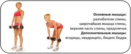 Ahogy gyorsan hízik egy hét alatt