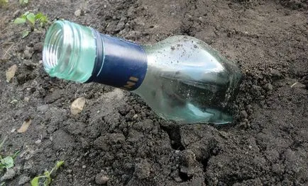 Hogyan kell kezelni a mol a kertben - orvosság mol