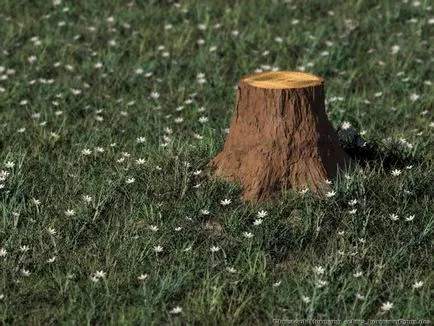 Hogyan lehet megszabadulni a tuskók a telek