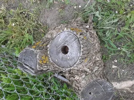 Hogyan lehet megszabadulni a tuskók a telek