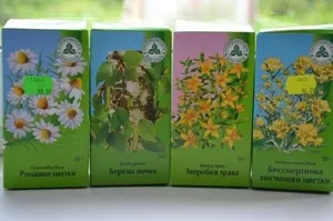 Hogyan kell kezelni a hörghurut és légcsőhurut traheidnogo okoz hörghurut, a tünetek, a módszereket és eszközöket