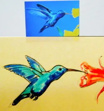 Hogyan kell felhívni a Kolibri
