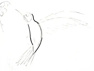 Hogyan kell felhívni a Kolibri
