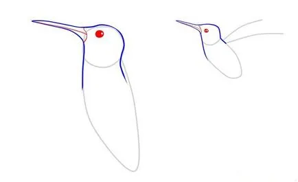 Hogyan kell felhívni kolibri ceruza szakaszokban 1